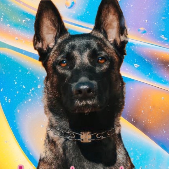 lucythemali